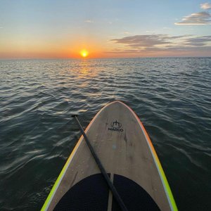 免费高清🔞❌app下载
